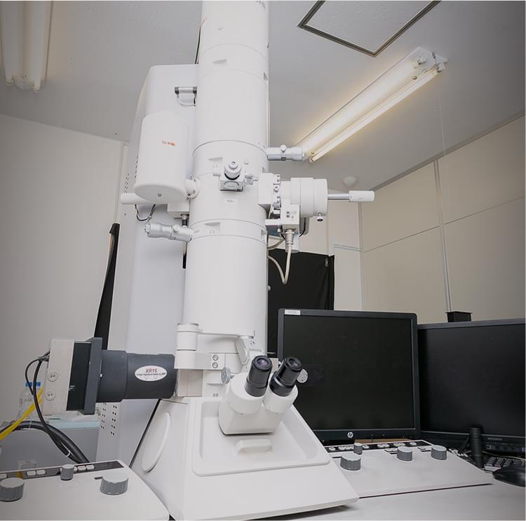 花市電子顕微鏡技術研究所
