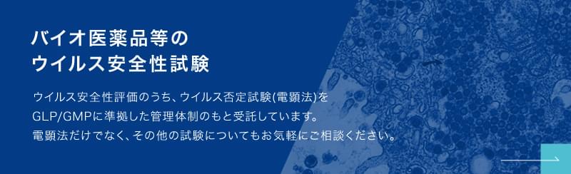 バイオ医薬品などのウイルス安全性試験