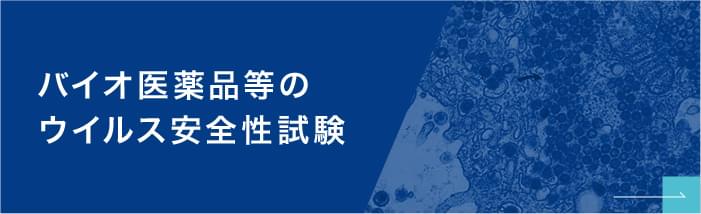 バイオ医薬品などのウイルス安全性試験